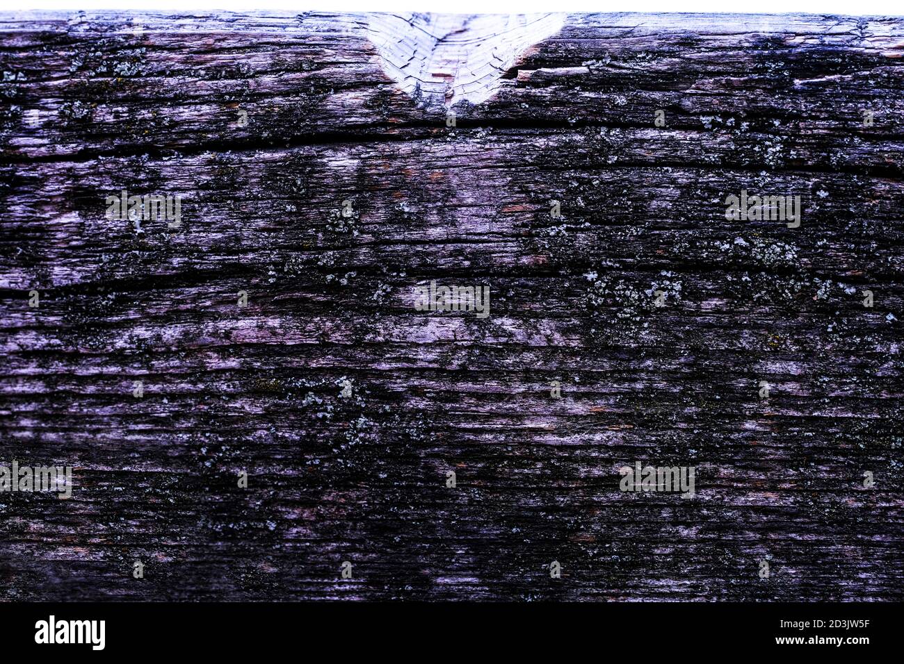 old wood nature texture, wood nature background. Stock Photo