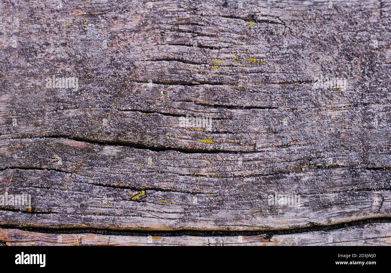 old wood nature texture, wood nature background. Stock Photo