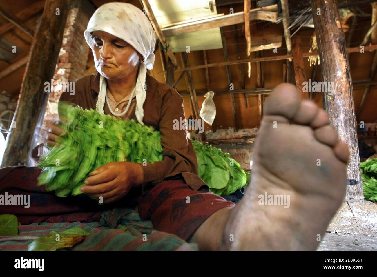Monopoly of tobacco products hires stock photography and images Alamy
