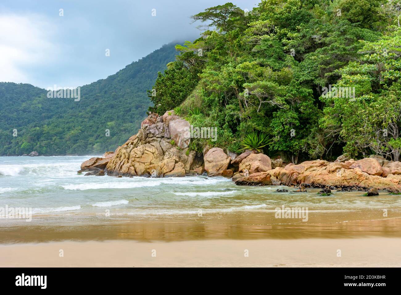 Rainforest encounter with all its exuberance with the sea in Trintade, Rio de Janeiro on a rainy day Stock Photo