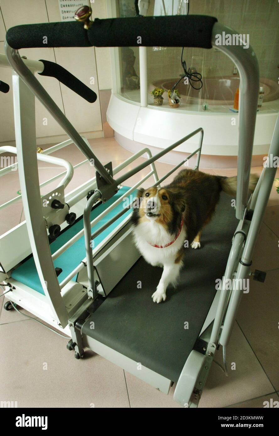 disney dog tag machine