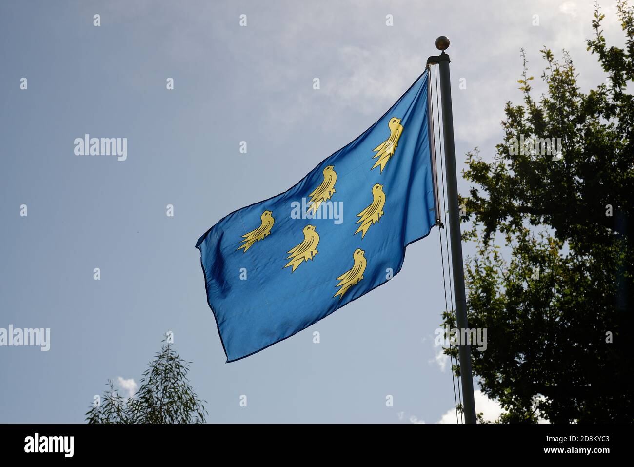 The six gold martlets on a blue background is the official heraldic shield of Sussex, a county of England. Stock Photo