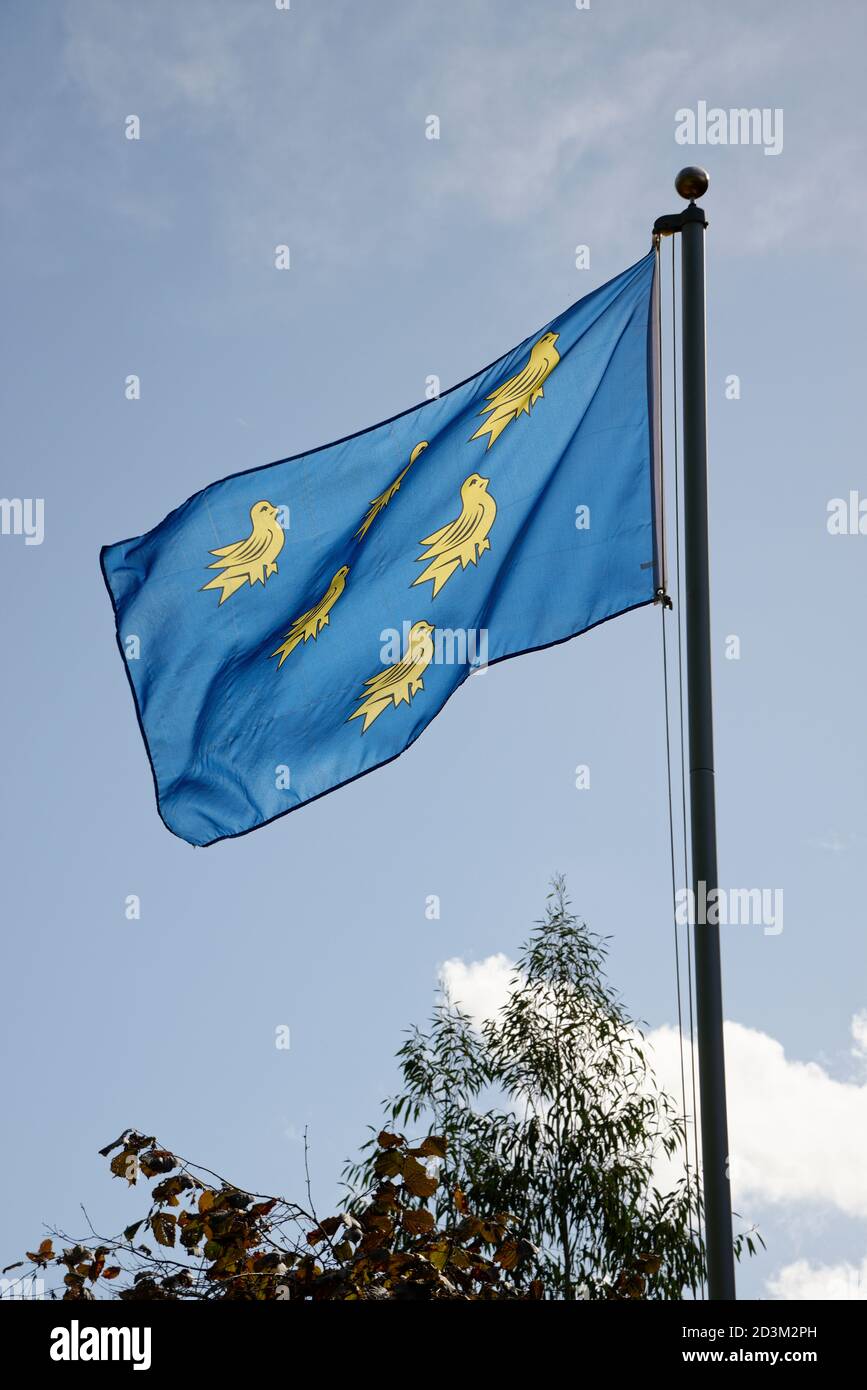The six gold martlets on a blue background is the official heraldic shield of Sussex, a county of England. Stock Photo