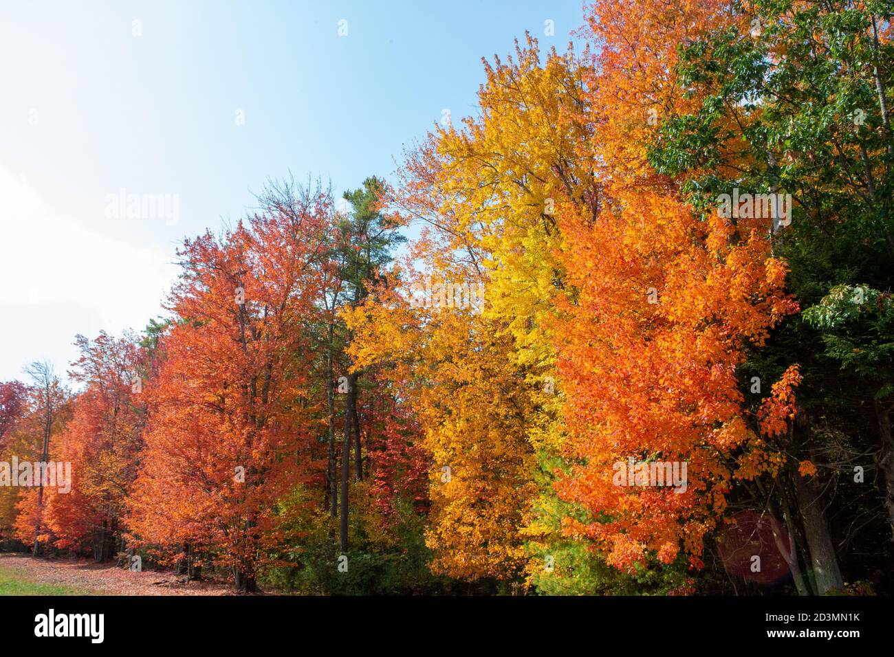 Maine Fall foliage 2020 Stock Photo