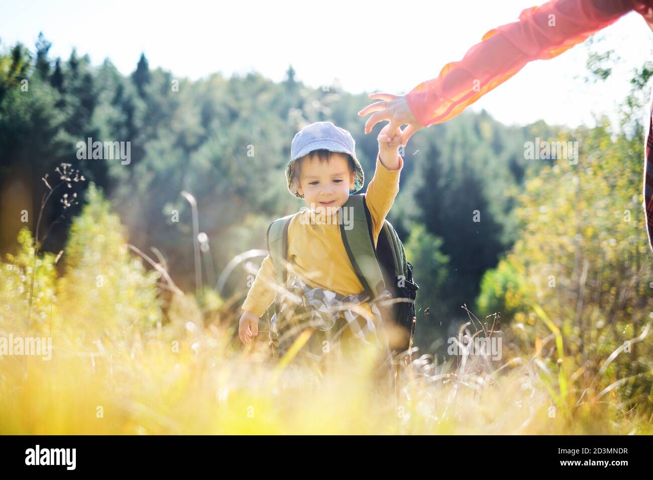 Small kid in yellow sweater walking with mother in autumn forest. Childhood with nature loving concept Stock Photo