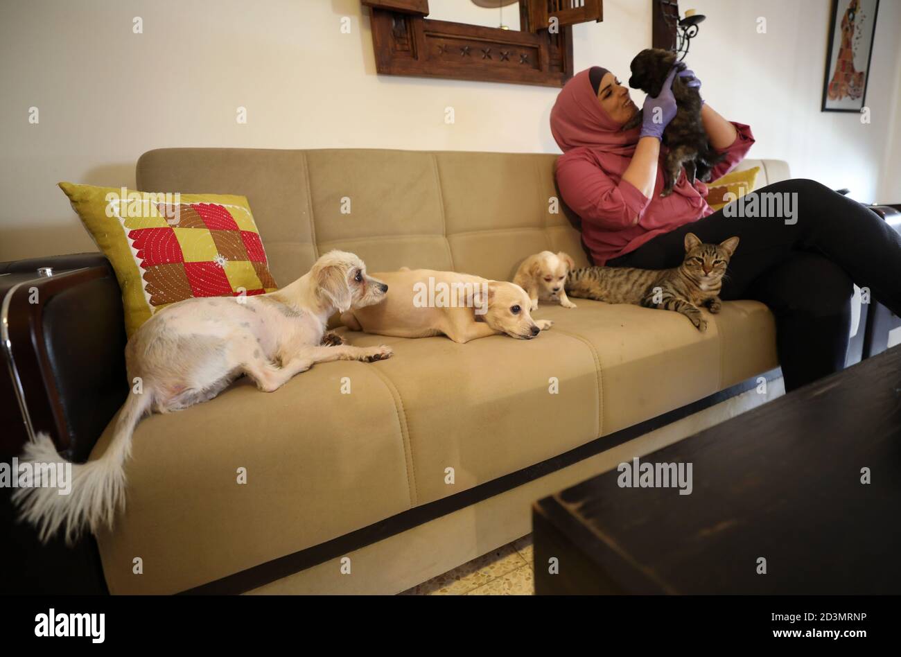 Ramallah West Bank City Of Ramallah 7th Oct 2020 Palestinian Woman Maha Mansoura 52 Takes Care Of Cats And Dogs Inside Her House In The West Bank City Of Ramallah Oct 7
