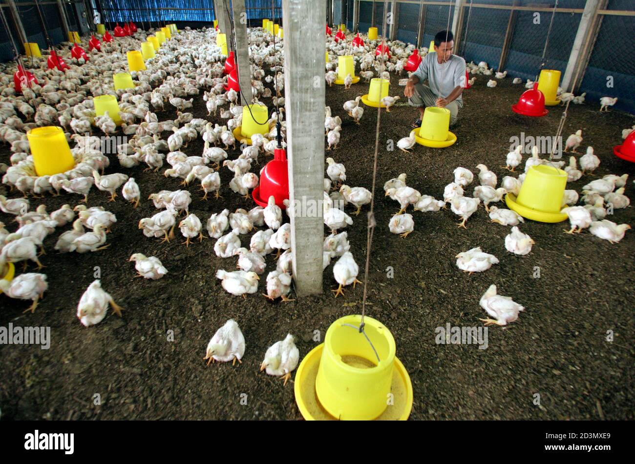Dengkil High Resolution Stock Photography and Images - Alamy