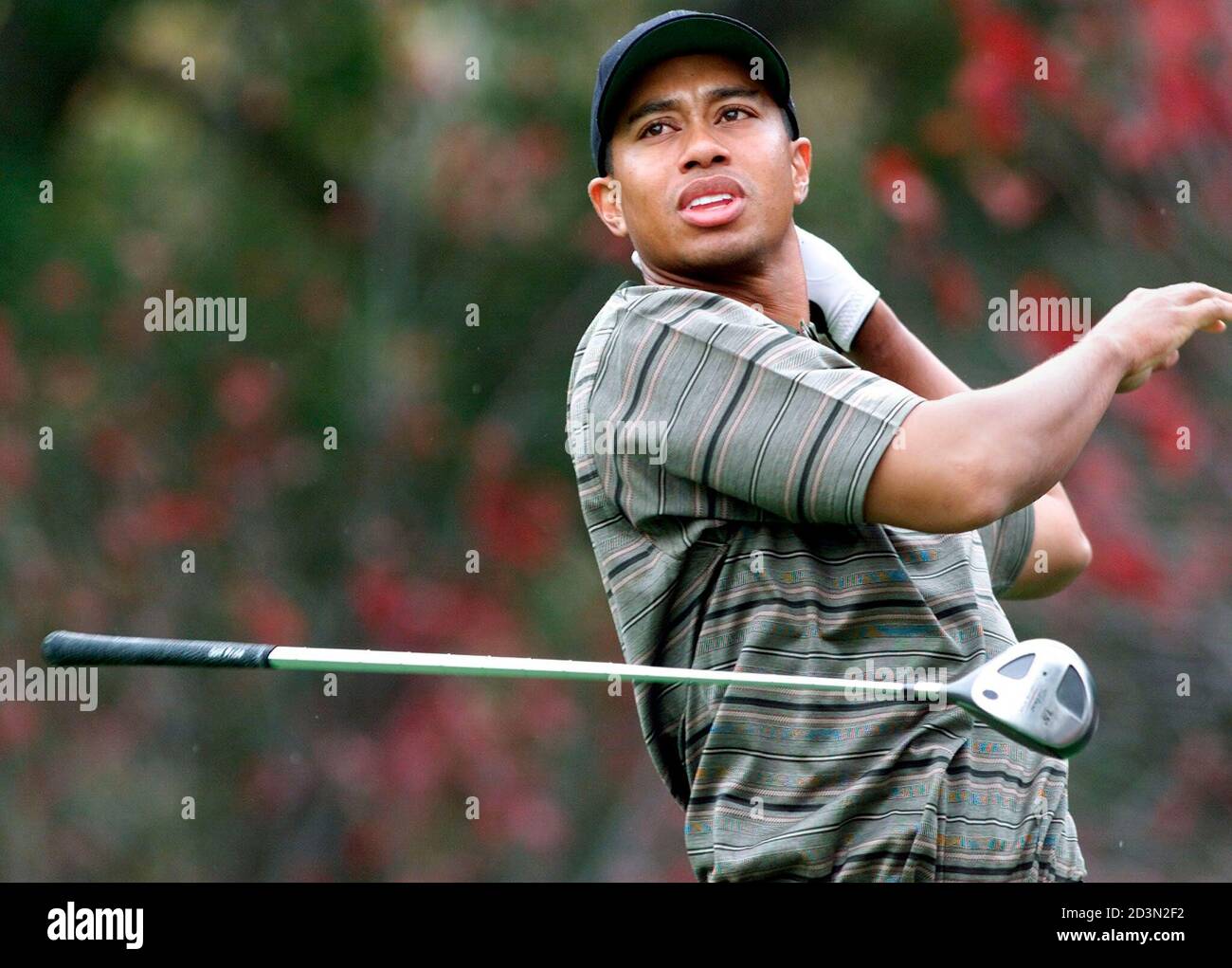 Tiger Woods of the United States loses grip on his club at the second hole tee box in the second round of the William's World Challenge golf tournament, December 1, 2000, at the Sherwood Country Club in Thousand Oaks, California. Woods shot a provisional drive for the out of bounds ball and saved par on the hole.  SSM/ME Stock Photo