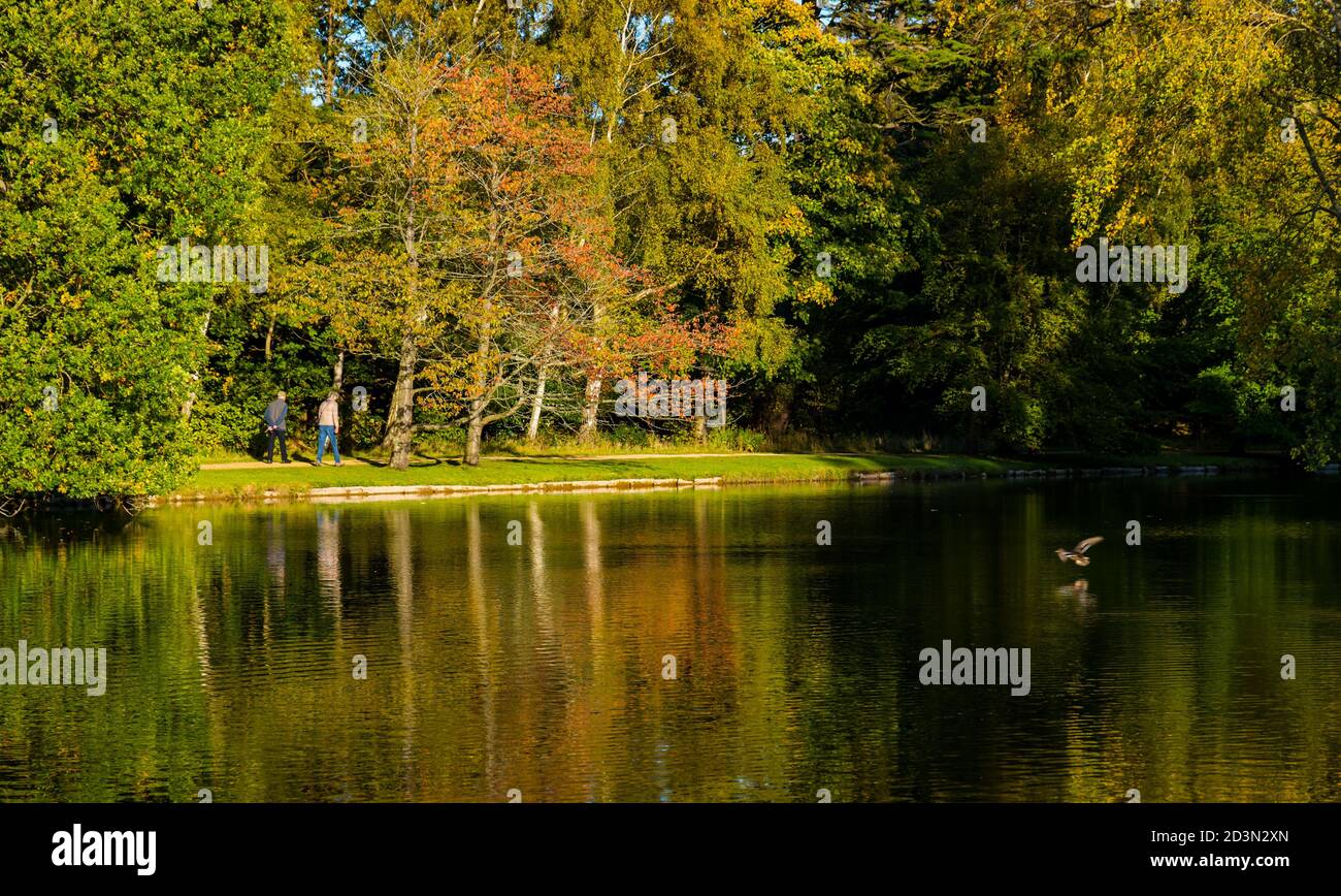 Gosford Estate, East Lothian, Scotland, United Kingdom, 8th October 2020. UK Weather: Autumn sunshine reflections. Walkers at the artificial lake with Autumn trees reflected in the water Stock Photo
