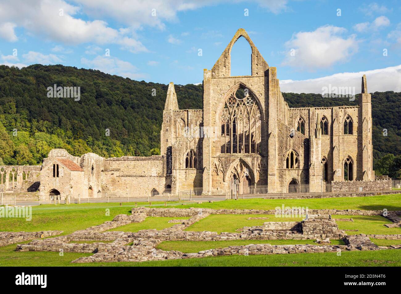 Tintern Abbey, Monmouthshire, Wales, United Kingdom.  The Cistercian abbey fell into ruin aftr the DIssolution of the Monasteries in the reign of King Stock Photo