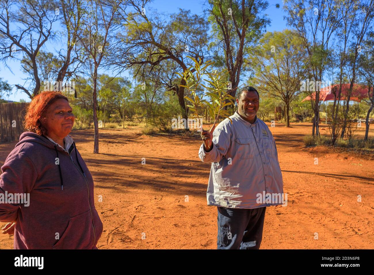 Kings Creek, Australia - Aug 21, 2019: Australian aboriginal native guides shows the bush plants used during the traditional ceremonies of local Stock Photo