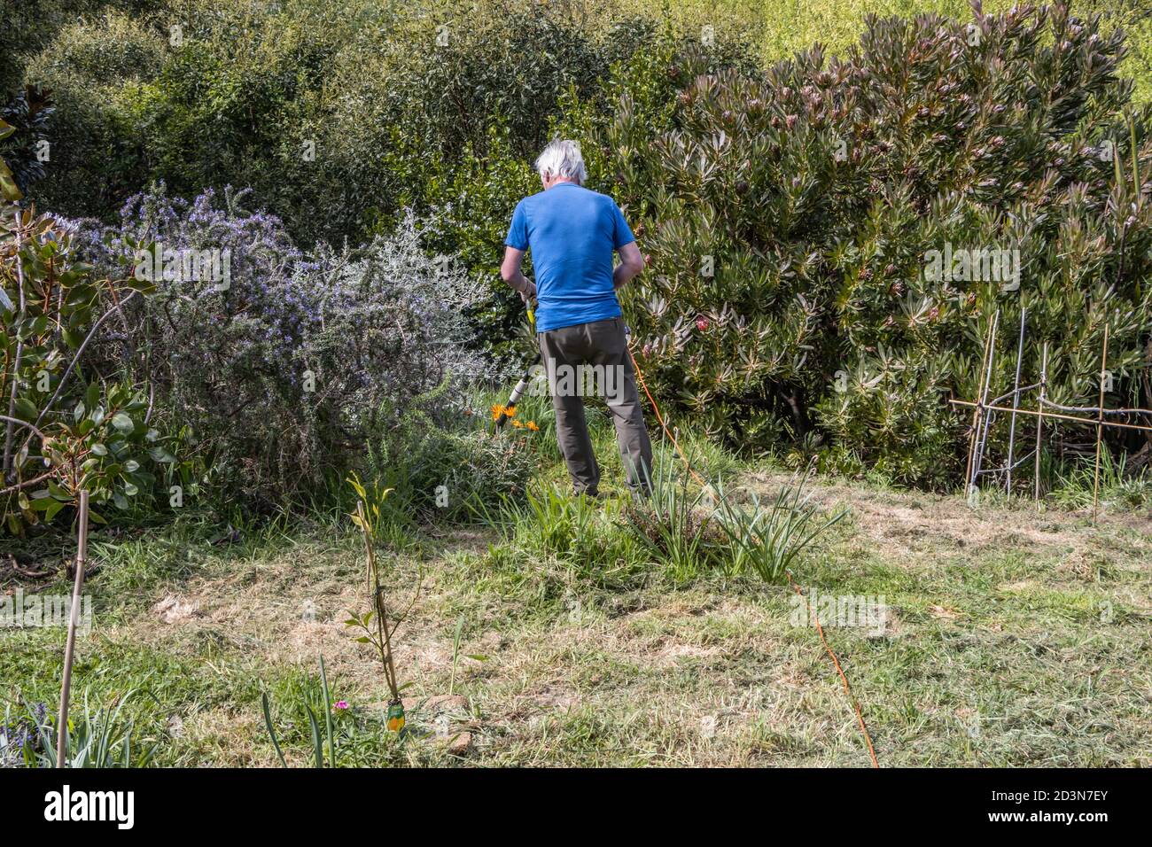 Cutting back tree hires stock photography and images Alamy