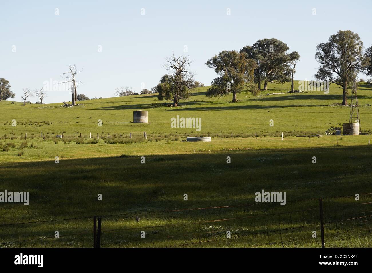 Victorian Farm Sheep High Resolution Stock Photography And Images Alamy