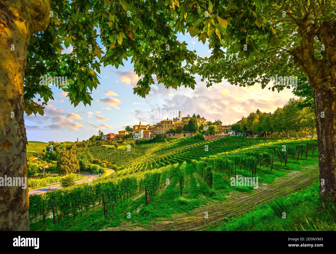 Neive village, Langhe vineyards and trees as a frame. Unesco Site, Piedmont, Northern Italy Europe. Stock Photo