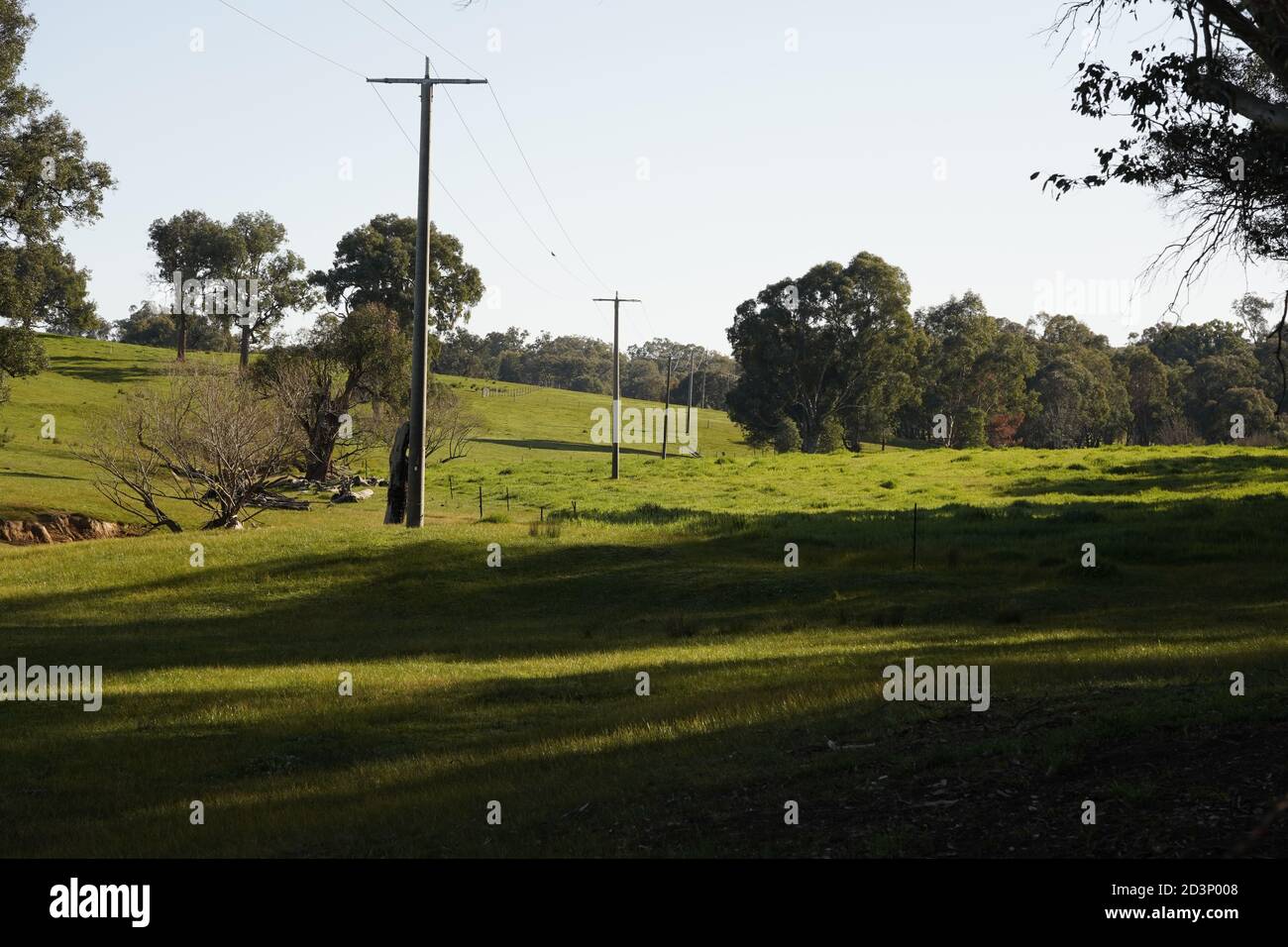 Victorian Farm Sheep High Resolution Stock Photography And Images Alamy