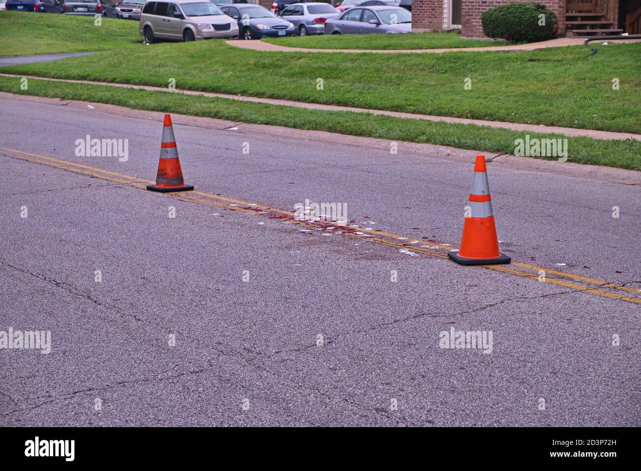 The location on Canfield Drive in Ferguson, Missouri where Michael Brown was shot by Ferguson officer Darren Wilson. The two safety cones indicate the location of his head and feet. Stock Photo