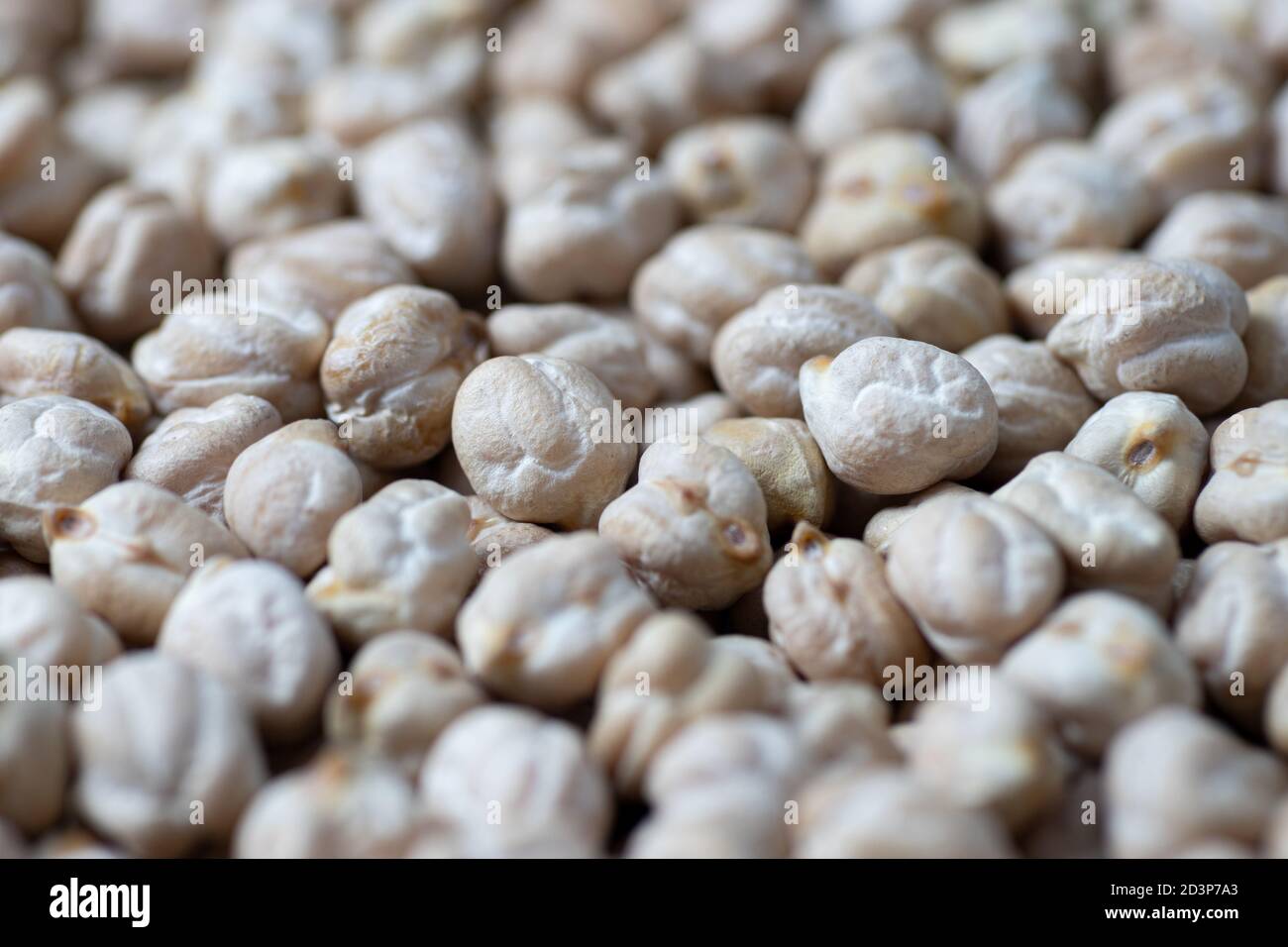 Dried chickpea beans as background as background. Perspective Stock