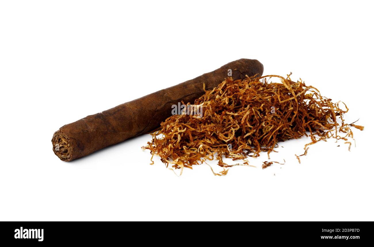 Cigar and bunch of dry tobacco leaves isolated on white Stock Photo Alamy