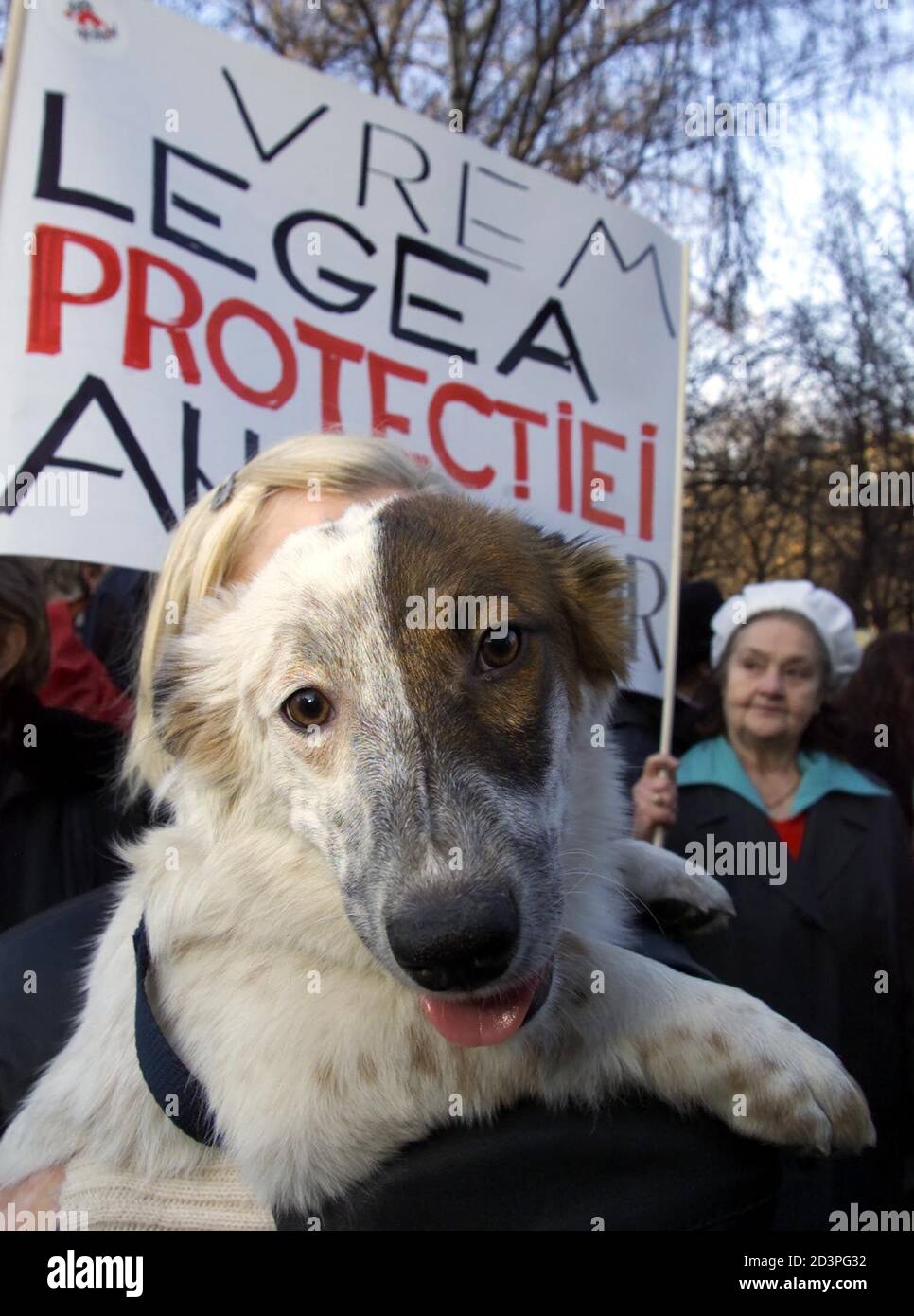 We want the animal protection law