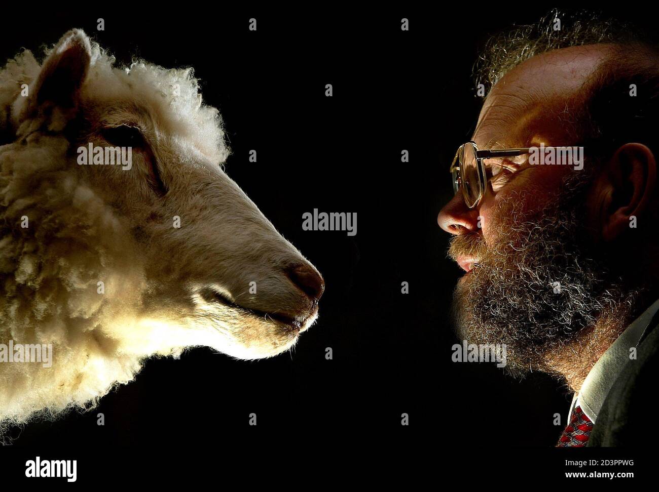 Dolly worlds first cloned mammal hires stock photography and images Alamy