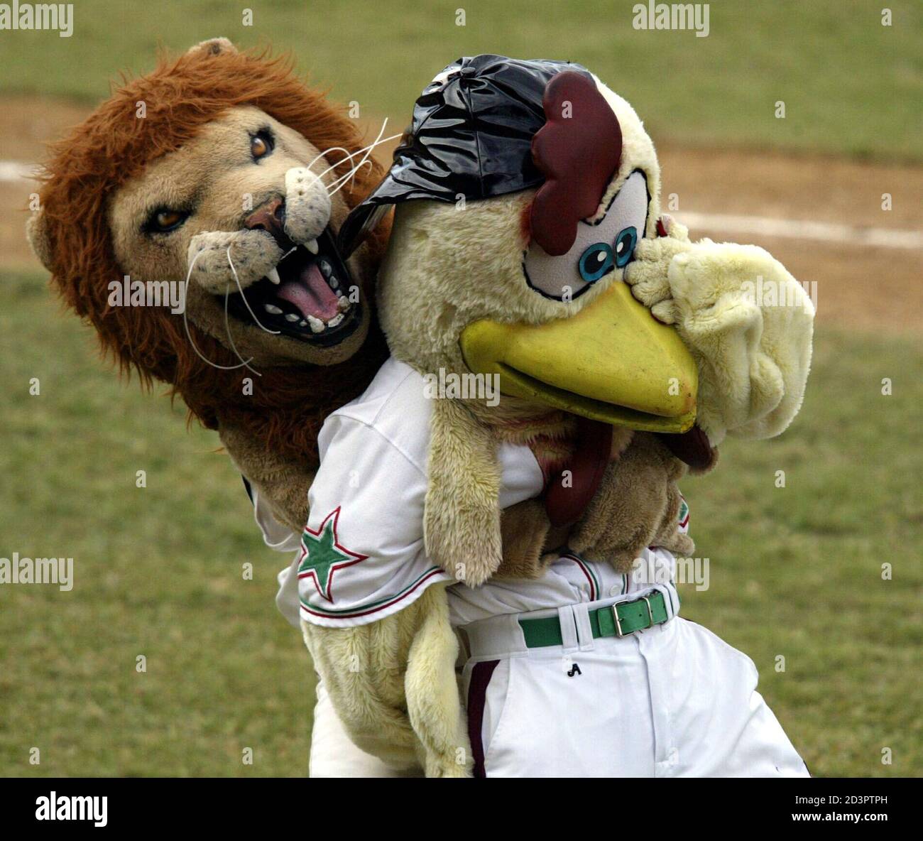 R ponce hi-res stock photography and images - Page 3 - Alamy