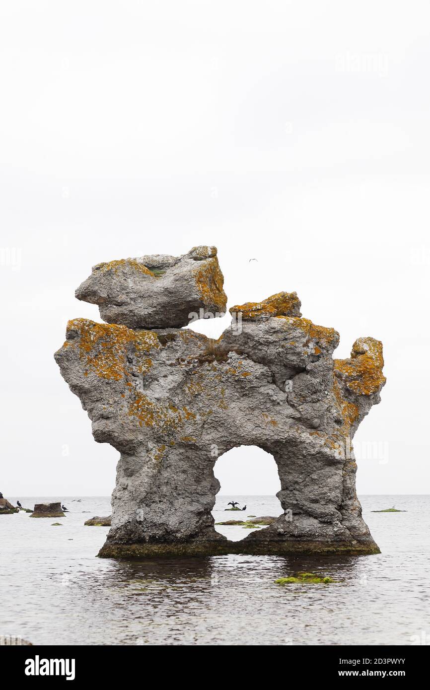 The famous rauk Hunden in a shape of a dog located at the Faro island in  the Swedish province of Gotland Stock Photo - Alamy