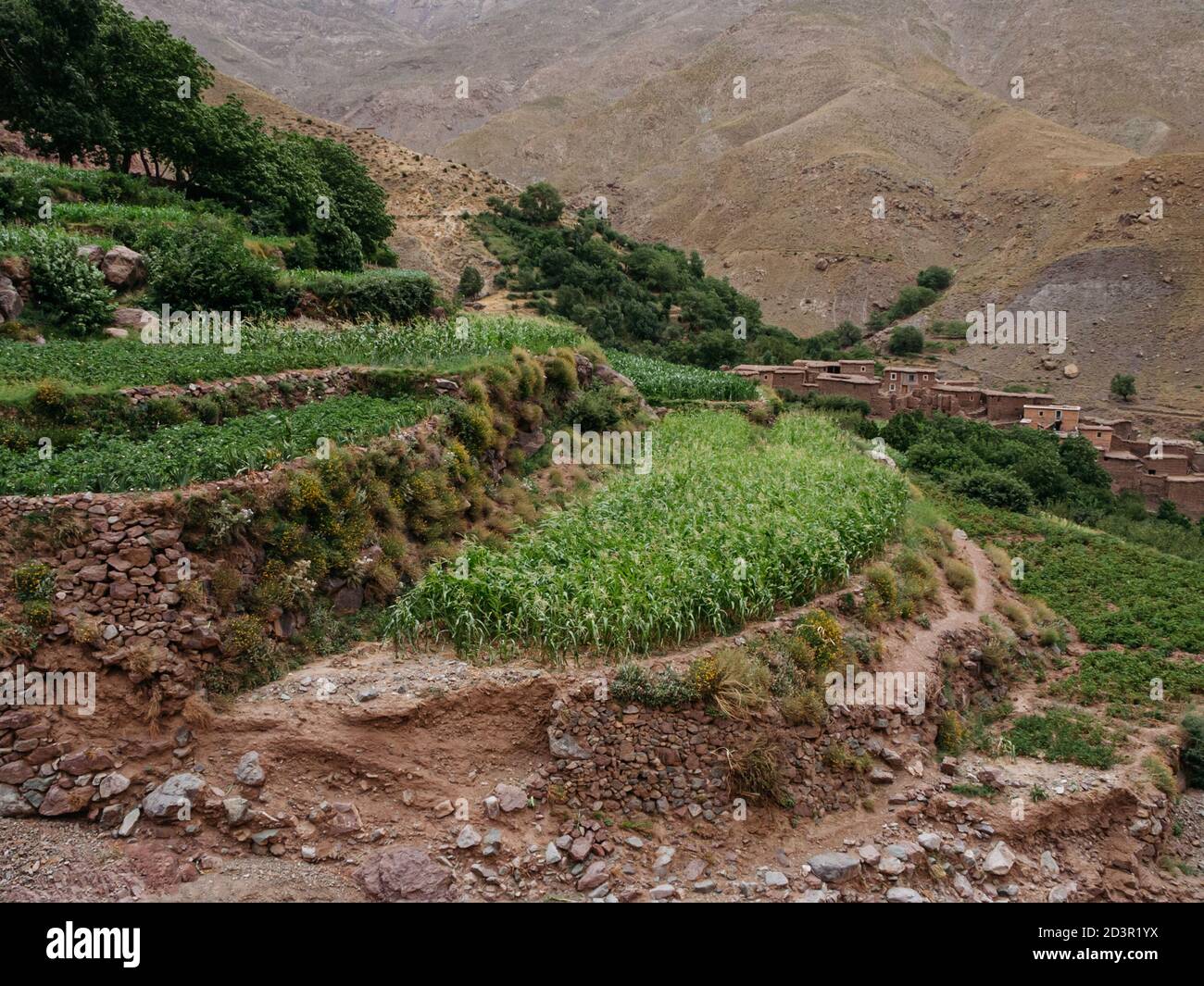 Trekking In Morocco Atlas Mountains – Toubkal Climbing Stock Photo - Alamy