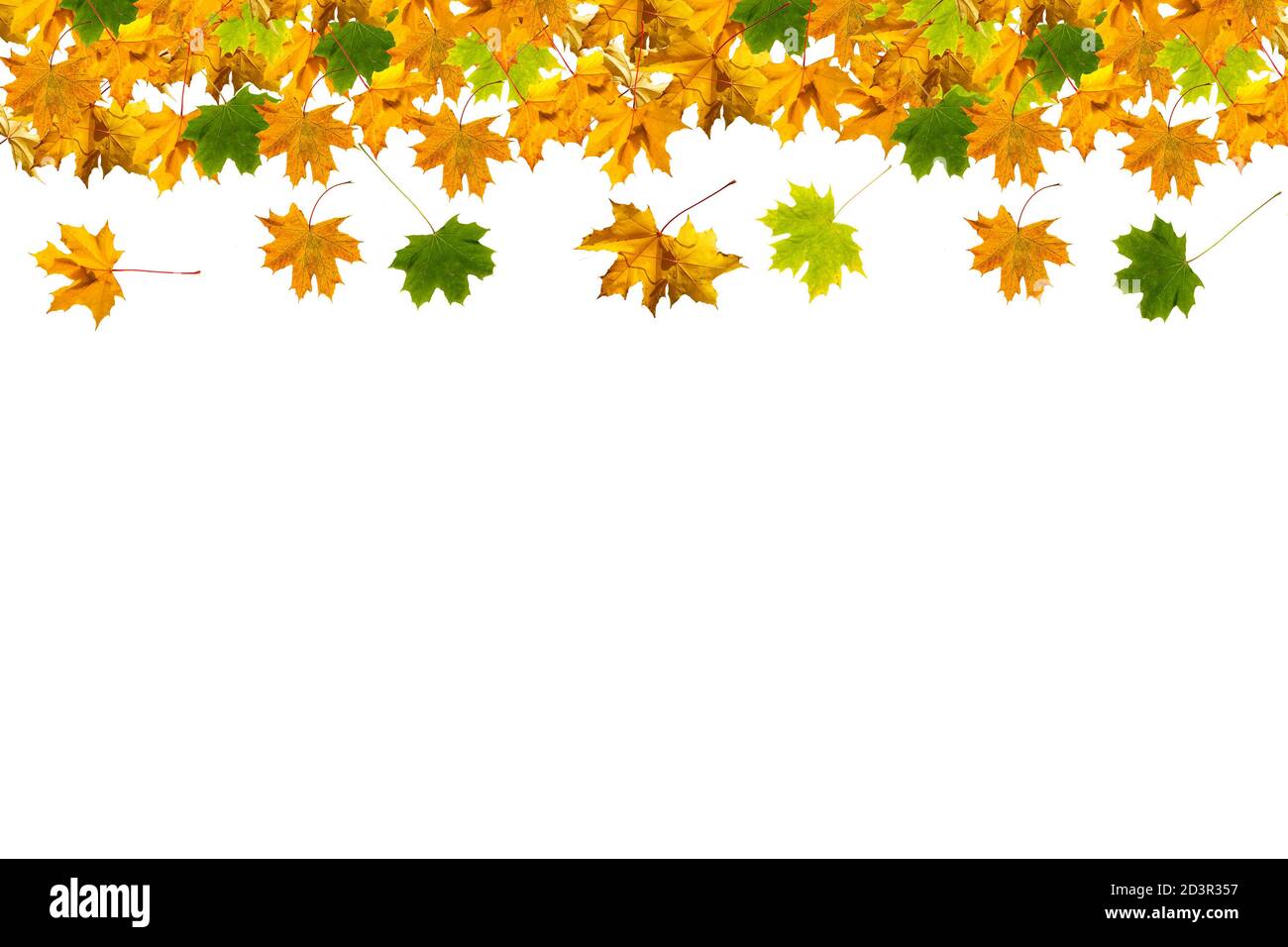 autumn leaves frame isolated on white background Stock Photo - Alamy