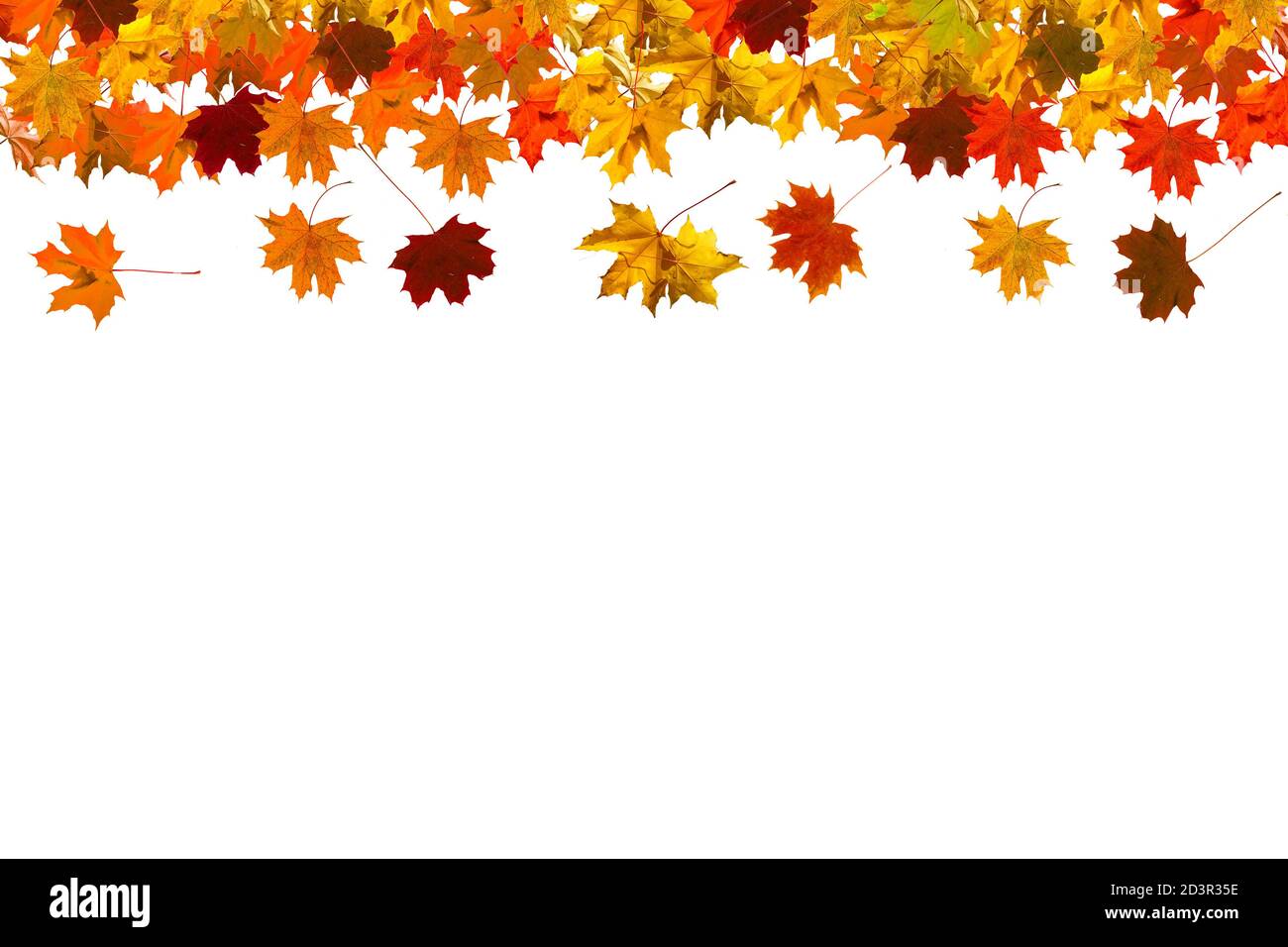 autumn leaves frame isolated on white background Stock Photo - Alamy