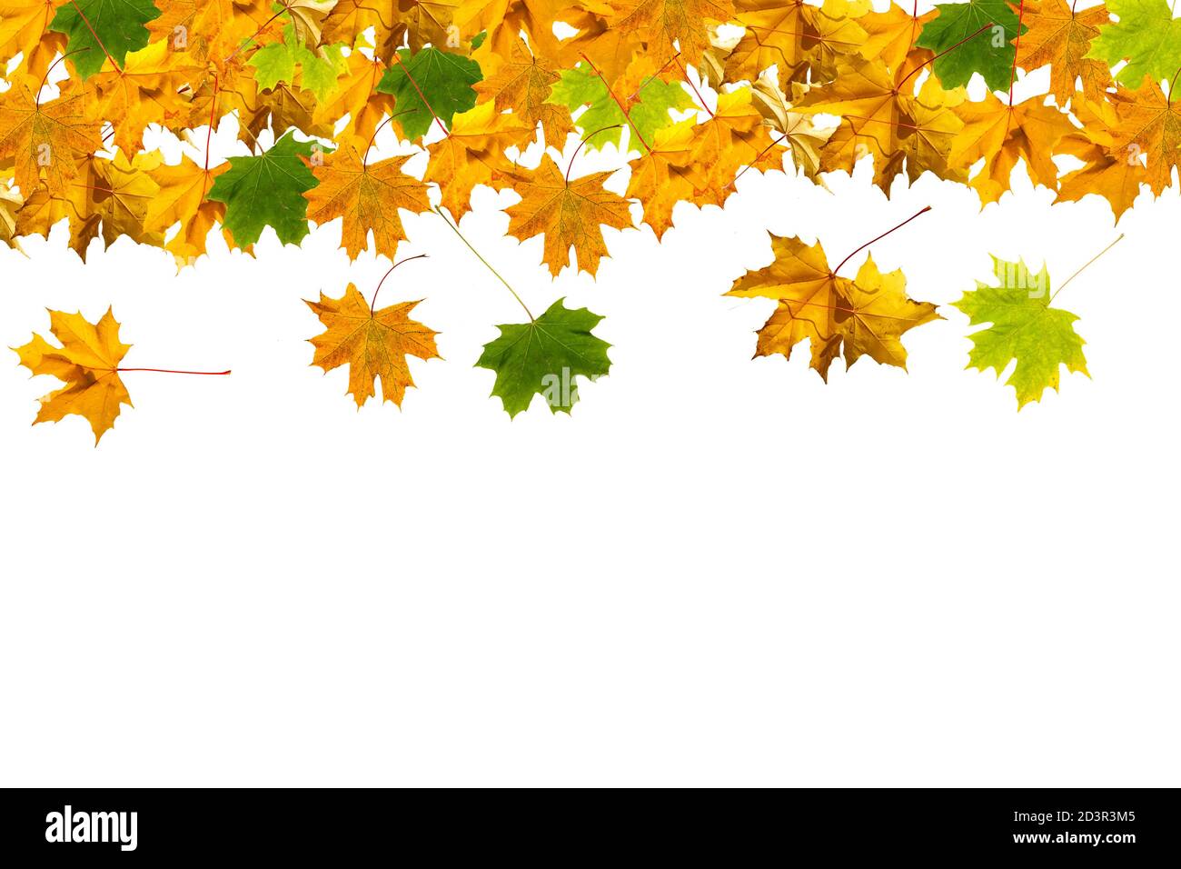 autumn leaves frame isolated on white background Stock Photo - Alamy