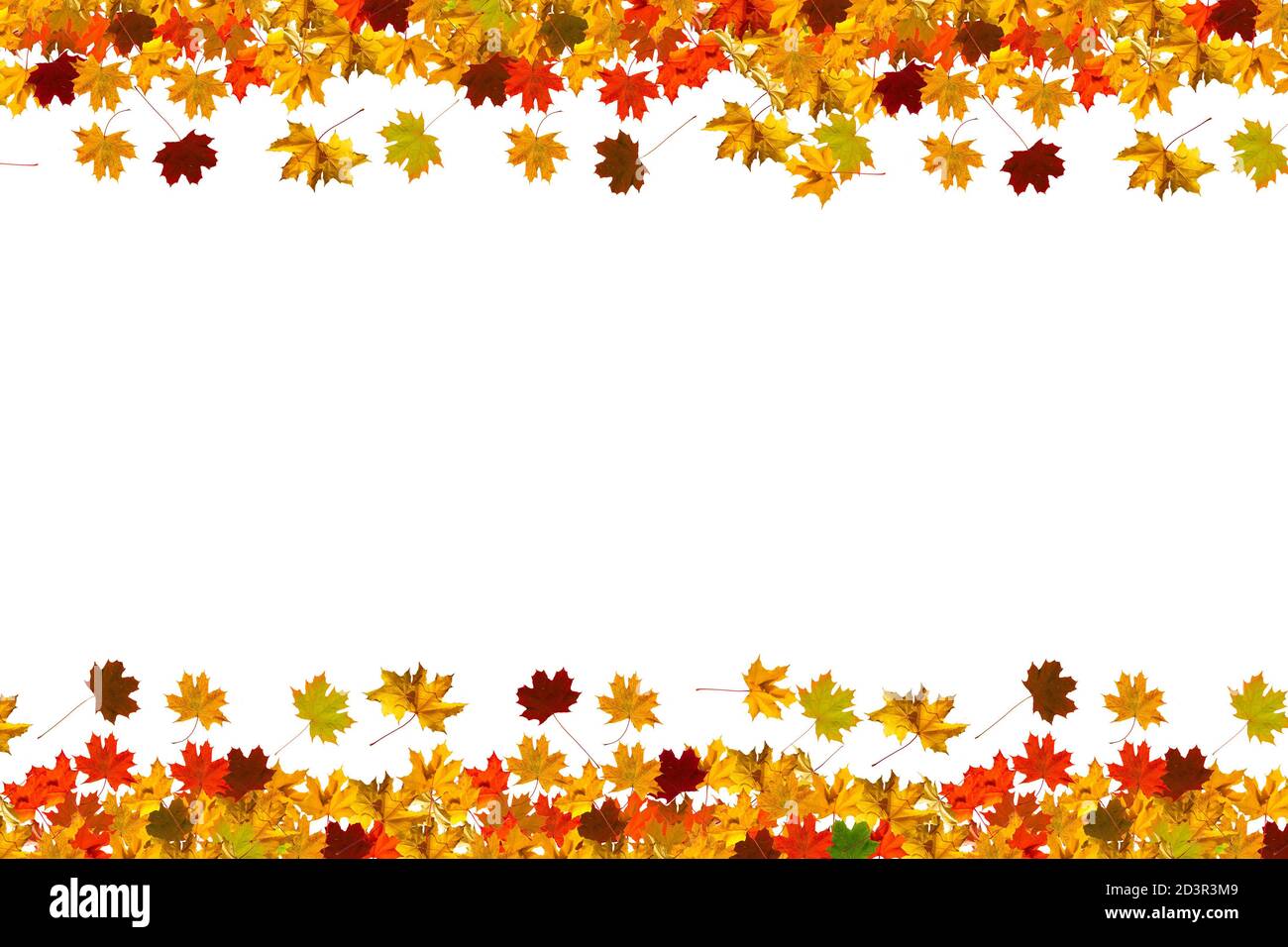 autumn leaves frame isolated on white background Stock Photo - Alamy
