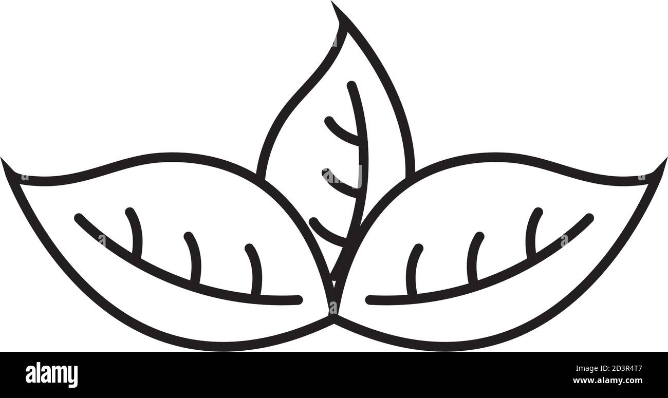 three leaves line style icon vector design Stock Vector Image & Art - Alamy