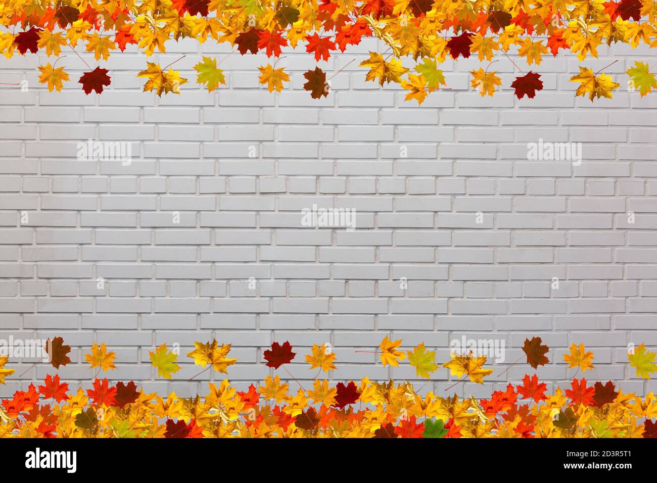 autumn leaves frame isolated on white background Stock Photo - Alamy
