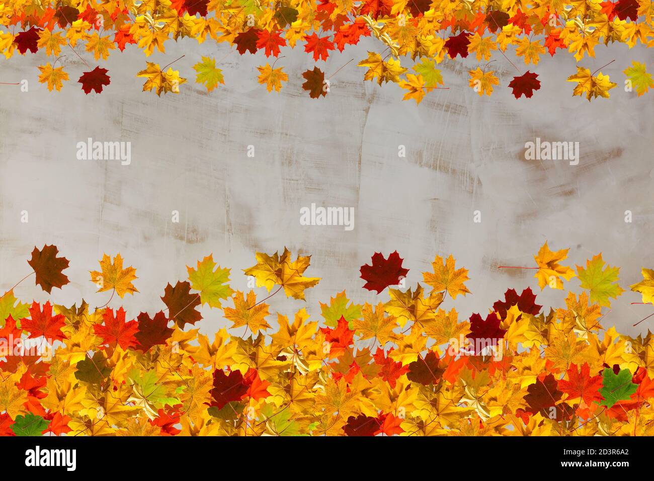 autumn leaves frame isolated on white background Stock Photo - Alamy