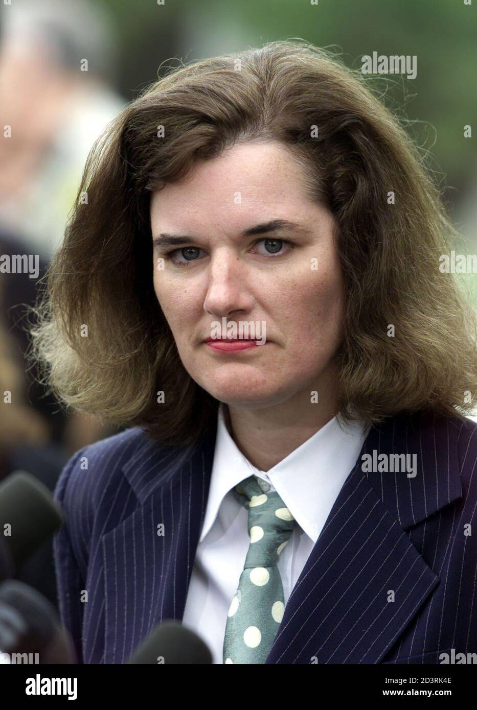 Paula Poundstone High Resolution Stock Photography and Images - Alamy