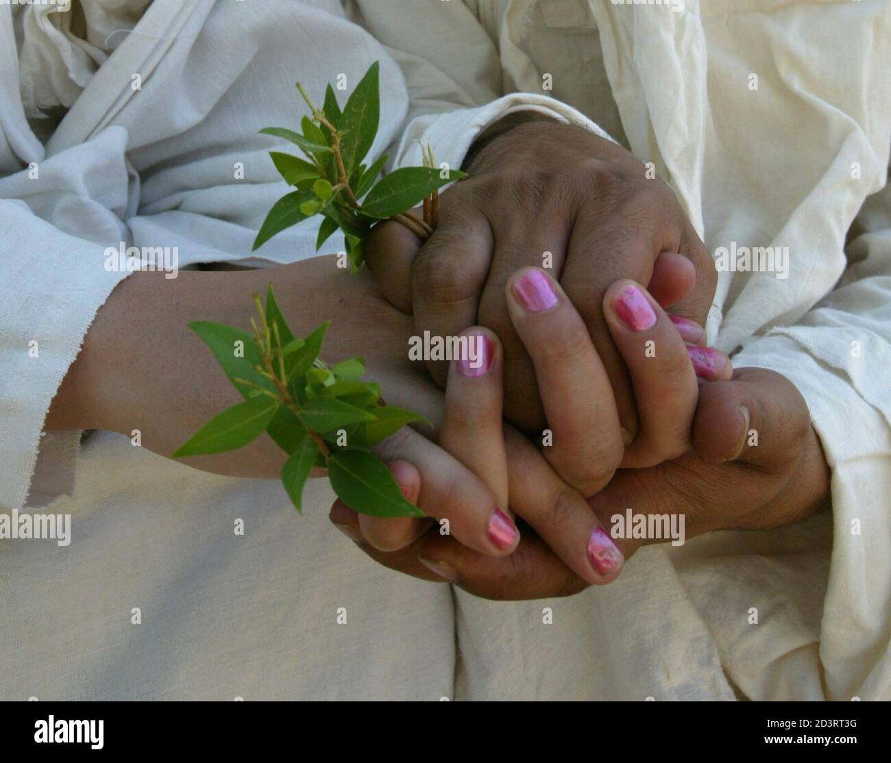 An Iraqi Mandean couple hold hands, and twigs from the yannis tree, after their marriage on the Tigris river in Baghdad June 8, 2003. Iraqi devotees of an obscure religion who take John the Baptist as their central figure perform virginity tests on their brides and take a dip in the murky Tigris river every Sunday to purify the soul. Most of the worldAEs 20,000 or so Mandeans live in southern Iraq and southwestern Iran. REUTERS/Faleh Kheiber REUTERS  CLH/ Stock Photo