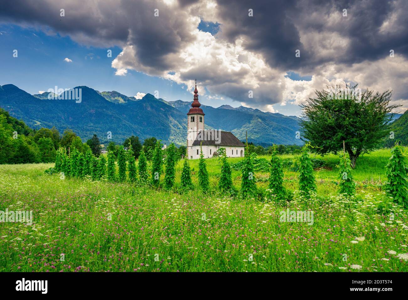 Church with agricultural sourrounding in the slovenian alpine area. Stock Photo