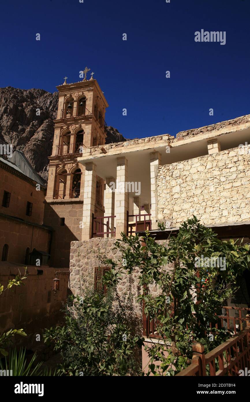 St. Catherine's Monastery is an Orthodox monastery, which has preserved historic. Burning bush inside of walls. People often try to touch the bushes. Stock Photo