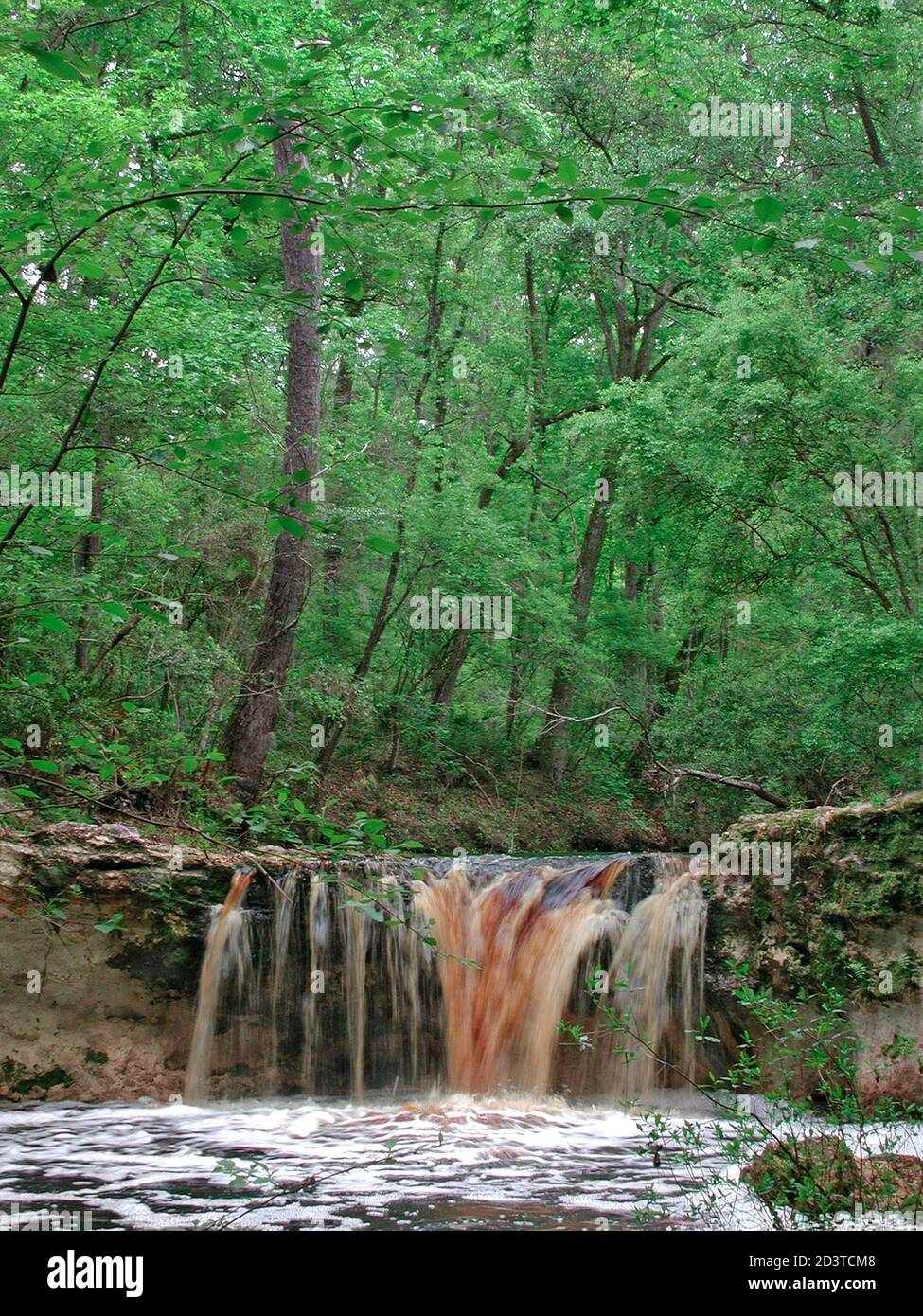 Falling Creek Falls is a county park in North Central Florida featuring
