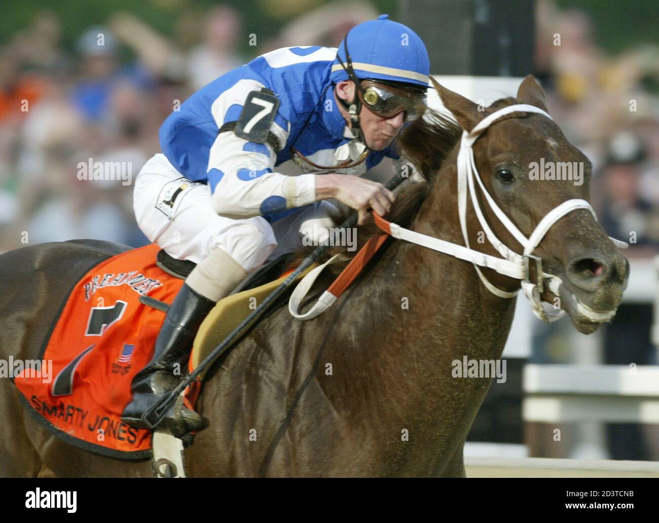 Molly jones ridden hires stock photography and images Alamy