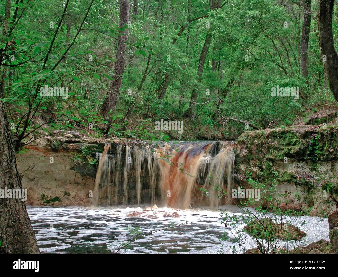 Falling Creek Falls is a county park in North Central Florida featuring