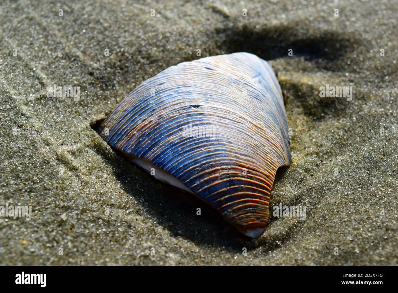 Colorful grains of sand hi-res stock photography and images - Alamy