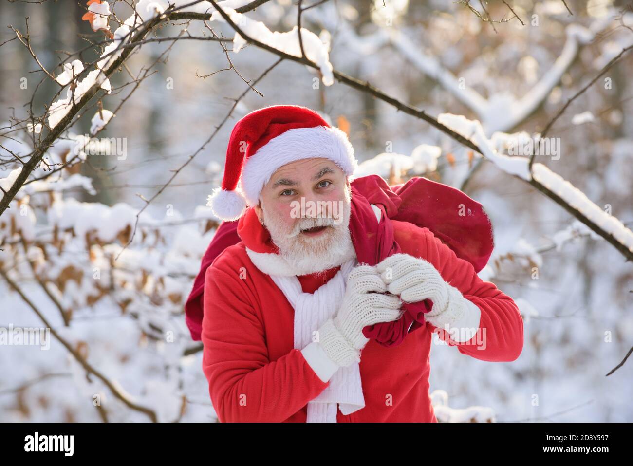 Santa claus greets in the snowy forest in December. Elderly gray-haired man in a Santa Claus costume and Christmas gift outdoors. Stock Photo
