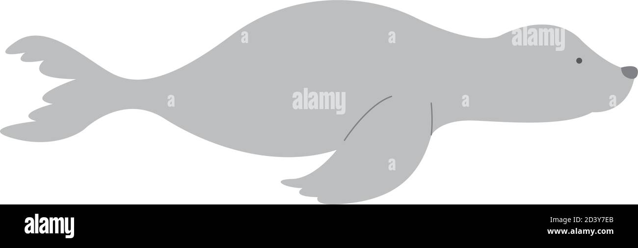 seal animal design Sea life ecosystem fauna and ocean theme Vector