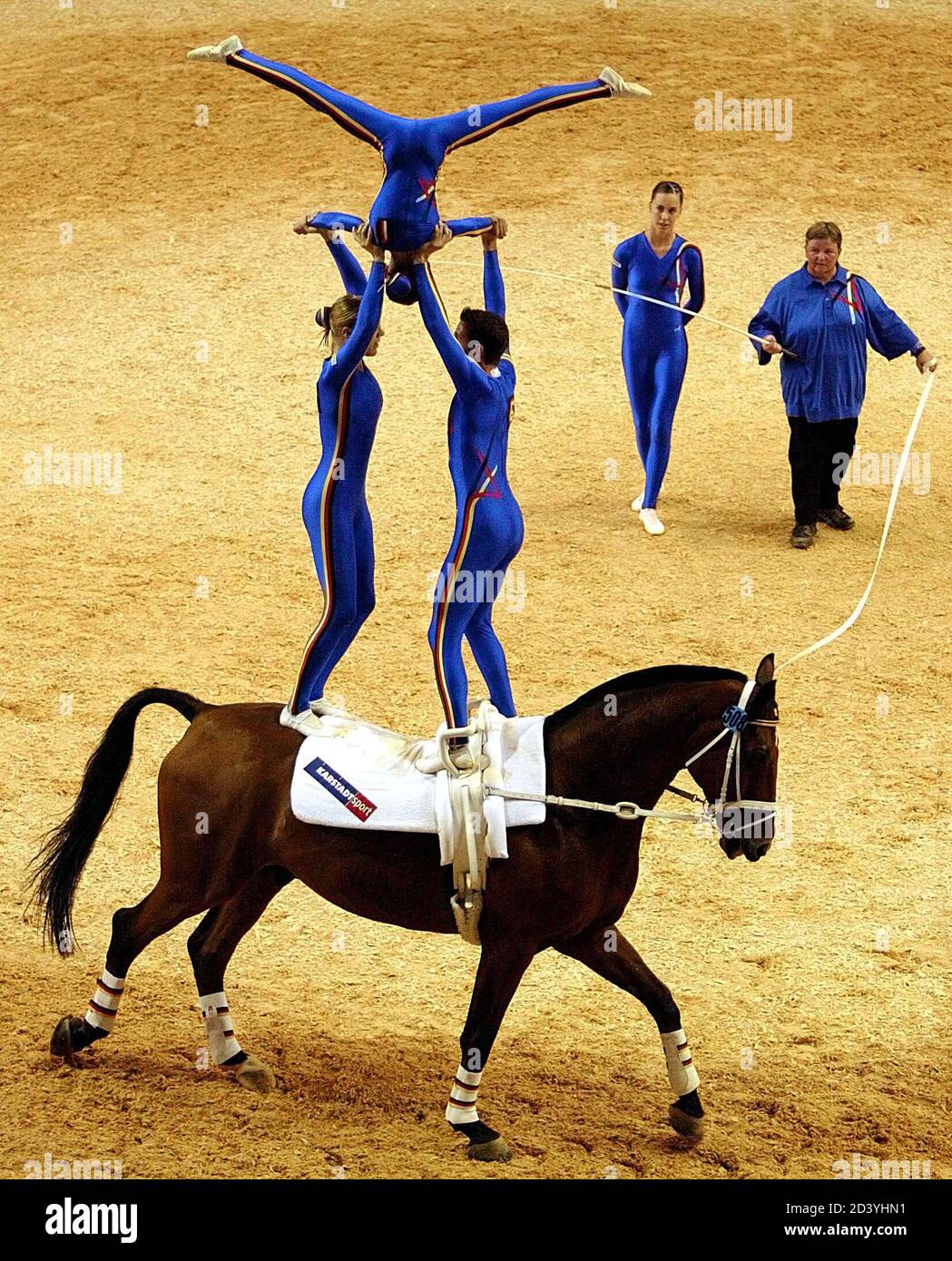 Horses vaulting horse hi res stock photography and images Alamy Horses vaulting horse hi res stock photography and images Alamy