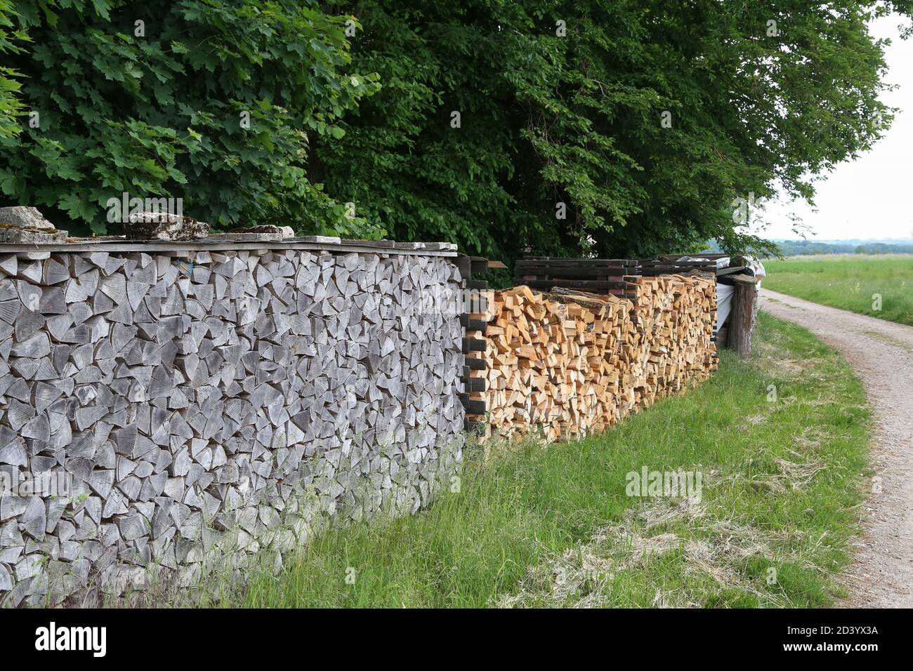 Bunch of cut wood logs in the outdoors Stock Photo Alamy