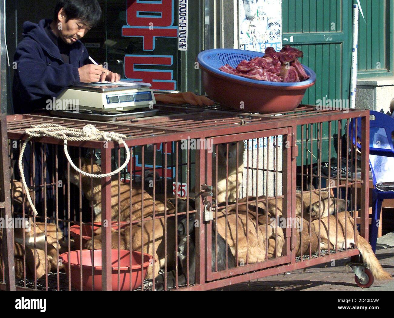 dog meat shop