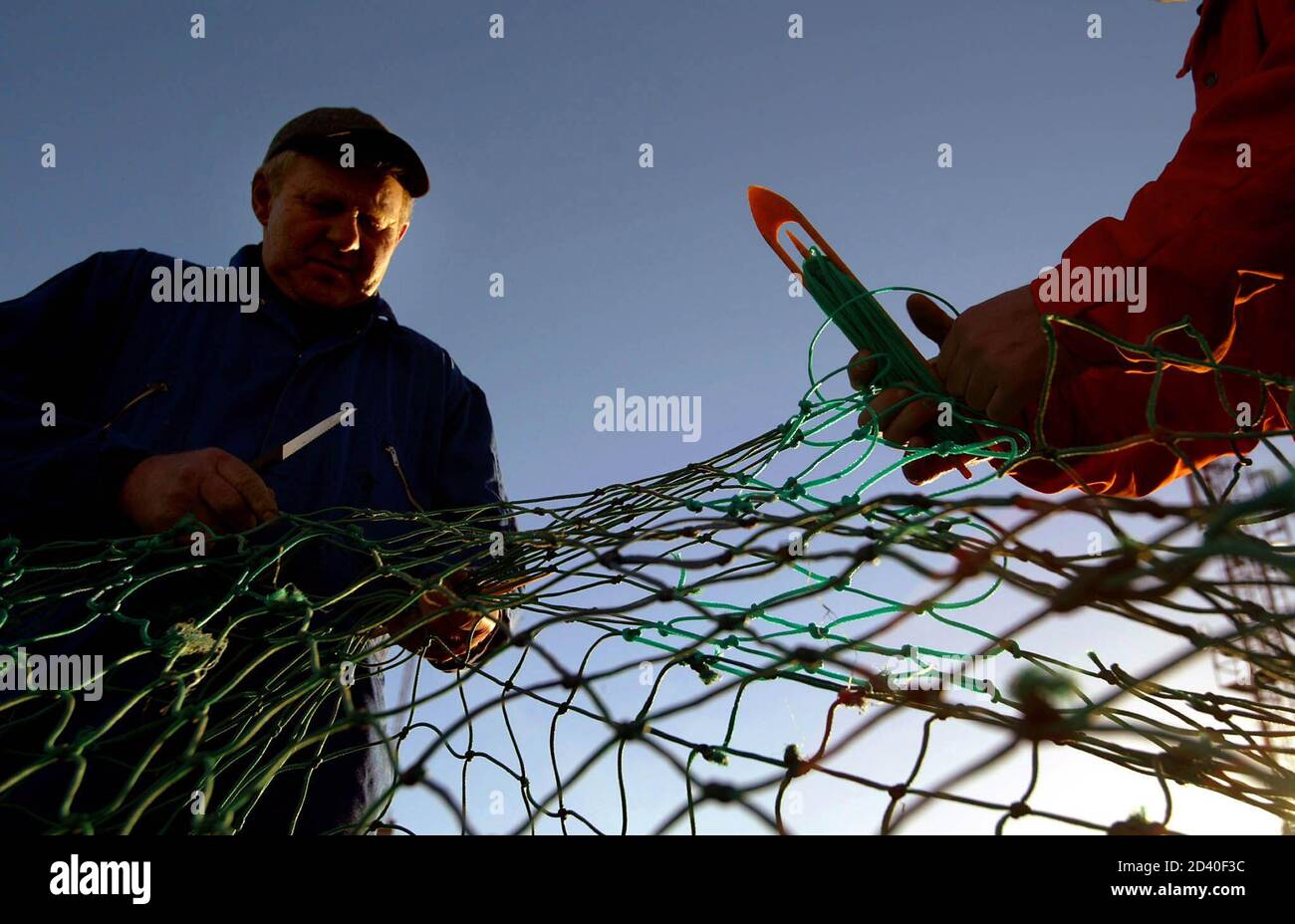 Cod north sea scotland hires stock photography and images Alamy