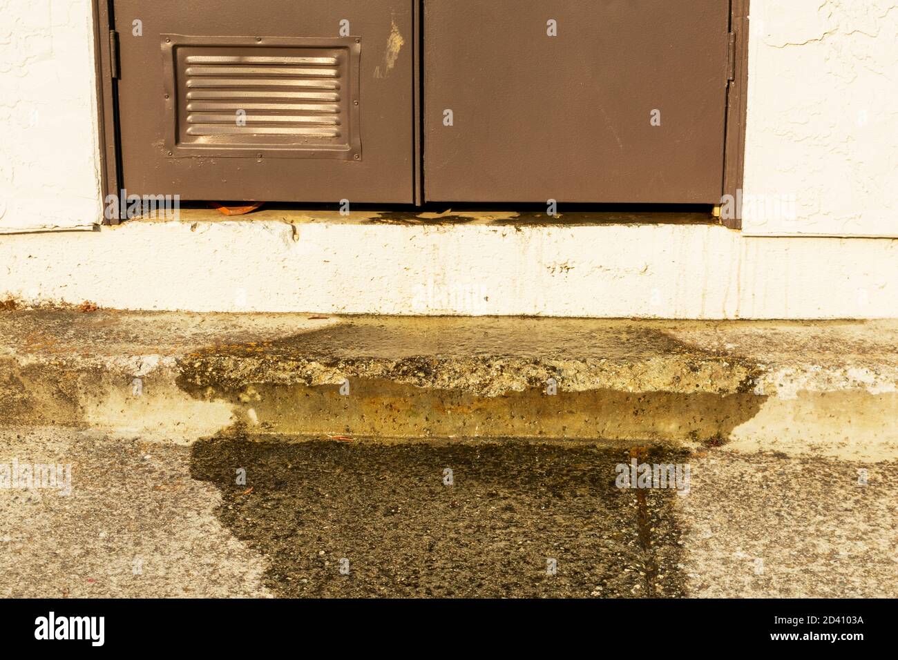 Water coming out from under a closed door of utility closet caused by leaking water heater. Stock Photo