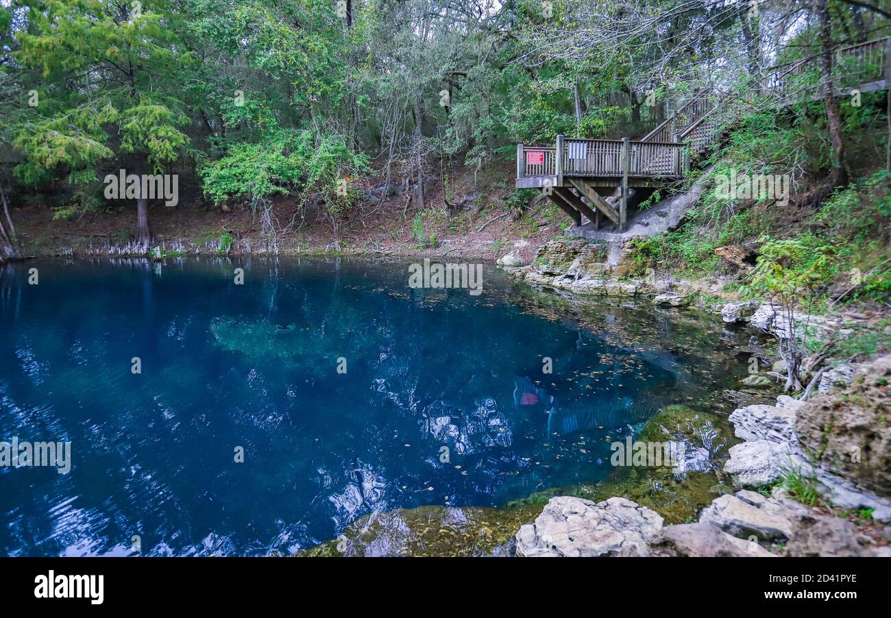 O'BRIEN, FLORIDA, UNITED STATES Oct 20, 2018 A jumping platform